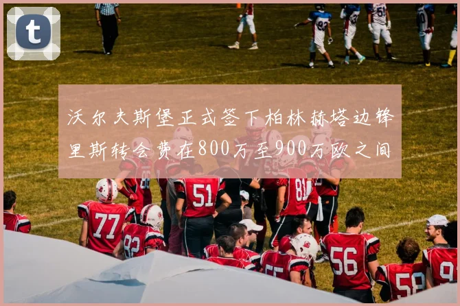 沃尔夫斯堡正式签下柏林赫塔边锋里斯转会费在800万至900万欧之间